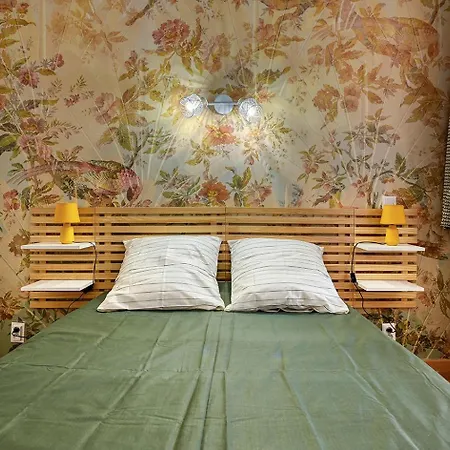 Oiseaux Du Paradis Amélie-les-Bains-Palalda